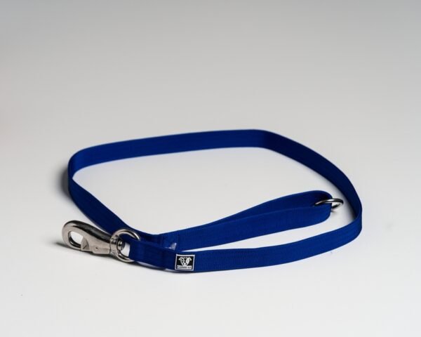 Blue Leads - Image 3