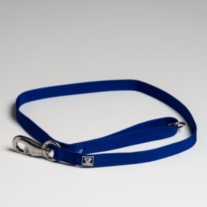 Blue Leads