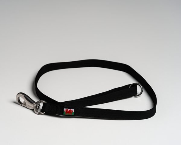 Black (Welsh) Leads - Image 3