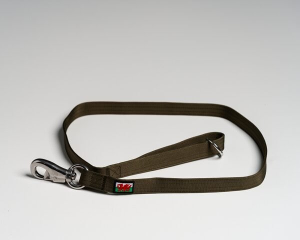 Olive (Welsh) Leads - Image 2