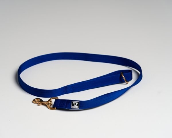 Blue Leads - Image 2