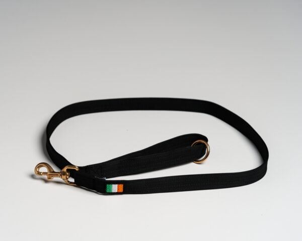 Black (Irish) Leads - Image 3