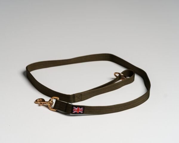 Olive (British) Leads - Image 2