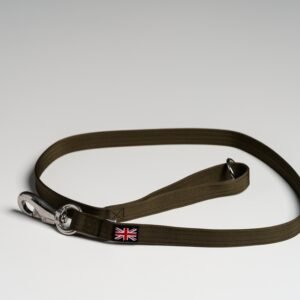 Olive (British) Leads