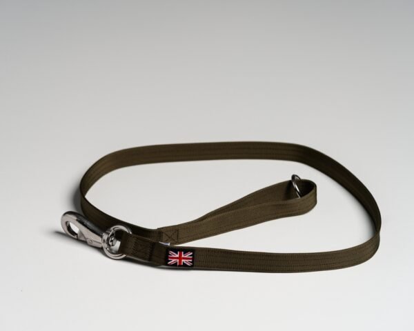 Olive (British) Leads