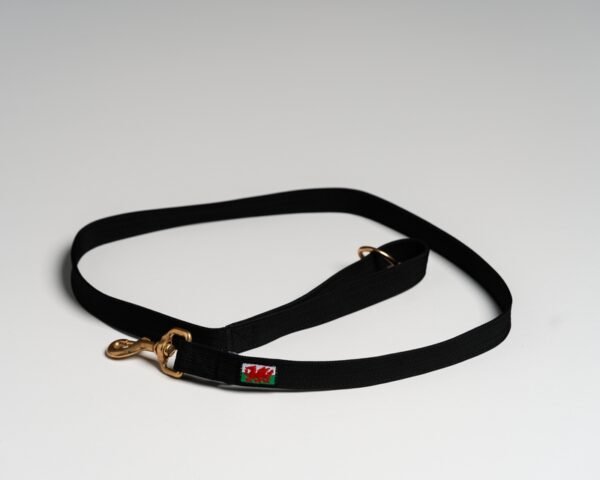 Black (Welsh) Leads - Image 2