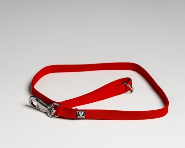 Red Leads - Image 3
