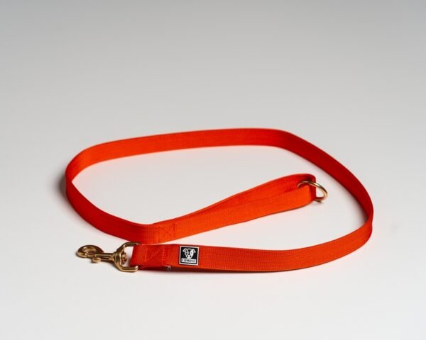 Orange  Leads - Image 3
