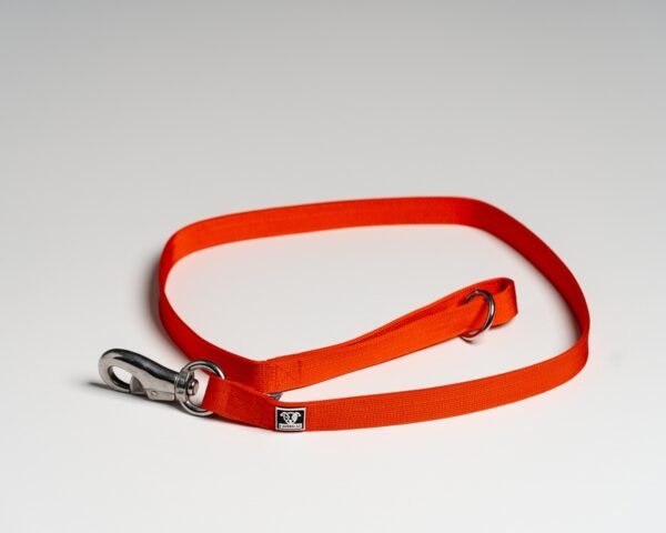 Orange  Leads - Image 2