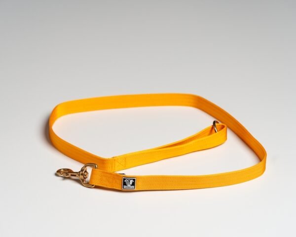Yellow Leads - Image 2