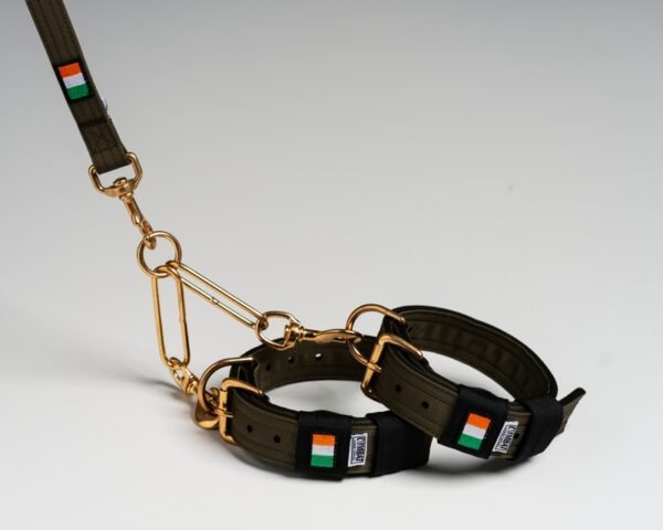 Terrier Couple Sets - Image 8