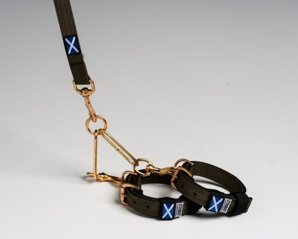 Terrier Couple Sets - Image 6