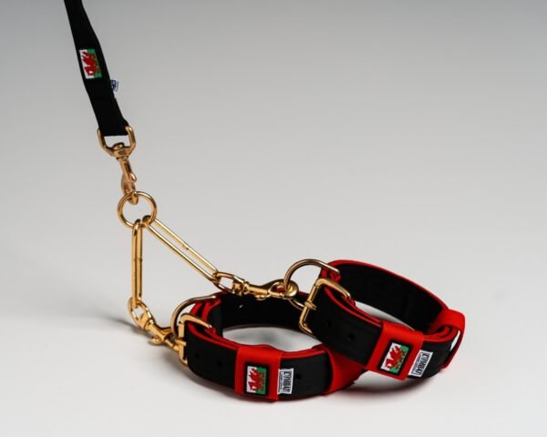 Terrier Couple Sets - Image 4