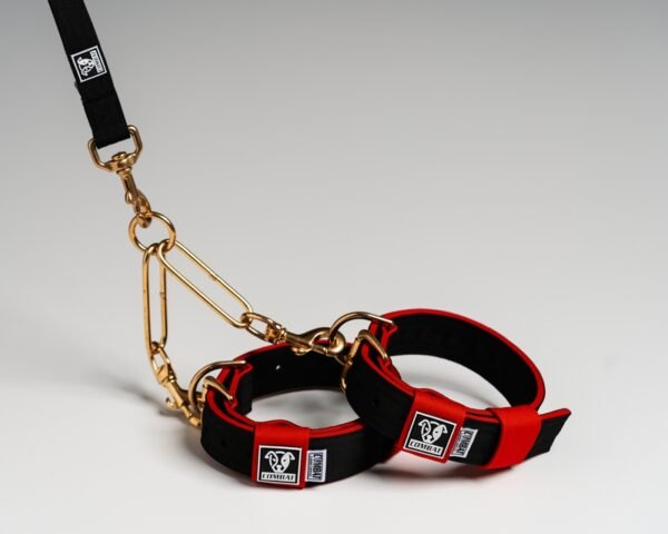 Terrier Couple Sets - Image 12