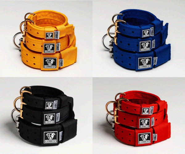 Heavy duty dog collars Combat Canine Supplies